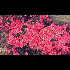 Meet your Posher, Destiny